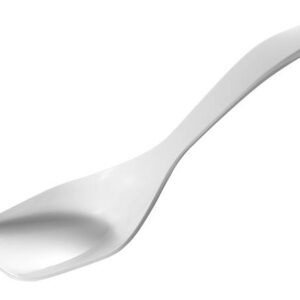 Serveerimislusikas 26,5cm