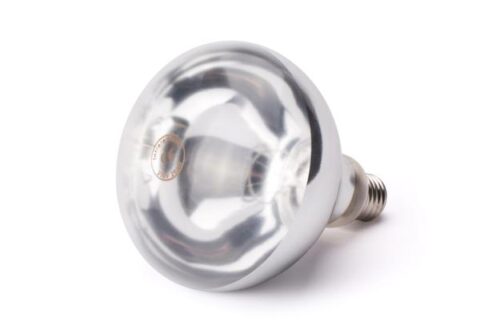 Varupirn infrapuna soojalampidele 250W valge E27 kannaga