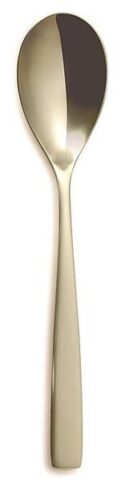 Serveerimislusikas 270mm BCN Satin shampanja 3mm