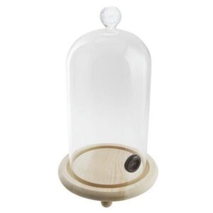Kokteilikate Ø12cm, h16,0cm, puidust alus ja klaaskuppel
