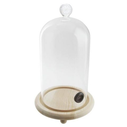 Kokteilikate Ø12cm, h16,0cm, puidust alus ja klaaskuppel