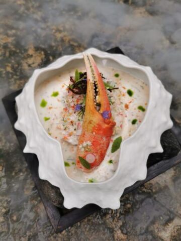 Taldrik 19cm "Spider Crab" mati pinnaga