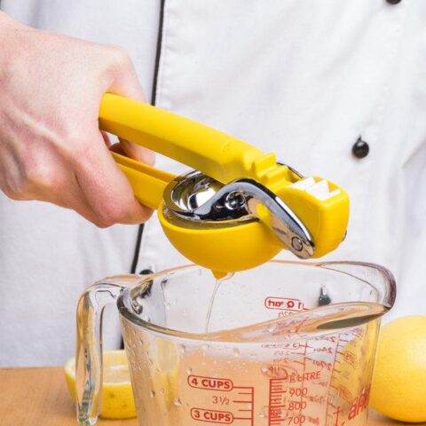 Sidrunipress e. tsitruspress Chef´n FreshForce
