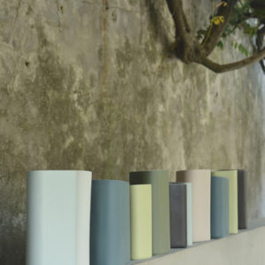 New Vases Fenouil